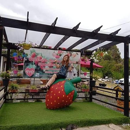Berries Residence Kampong Kundassan Εξωτερικό φωτογραφία